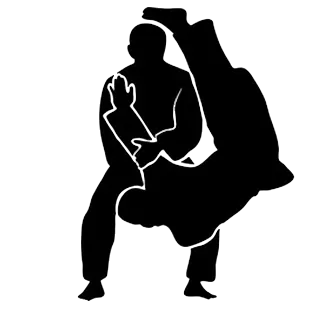 combat jiujitsu