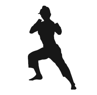 defensa personal icon