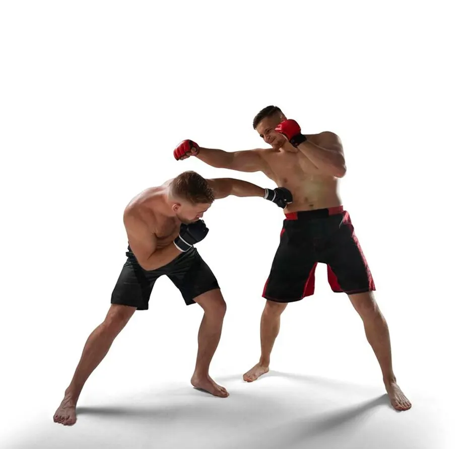 mma artes marciales mixtas bertamirans